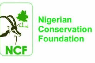 NCF