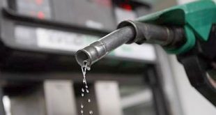 Fuel Subsidy
