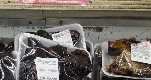 Nigerian Catfish as a money-spinner